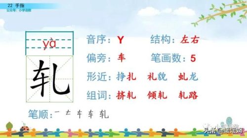 拇组词组(拇指的拇还能组哪些词)插图16