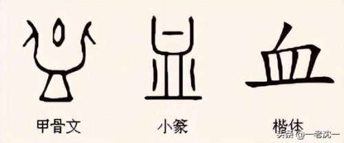 血的两个读音怎么区分(流血xie还是xue)插图