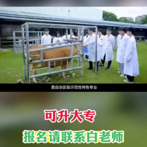 南宁宠物学校排名前十(南宁宠物诊所排名)插图