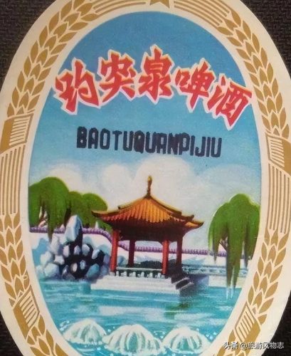 啤酒山东价格排名前十(山东都有什么啤酒)插图6