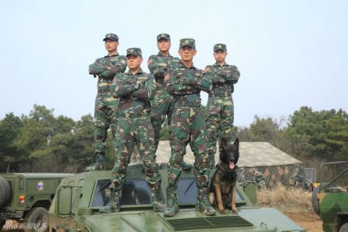 特种兵系列电视剧(2023特种兵新片)插图3