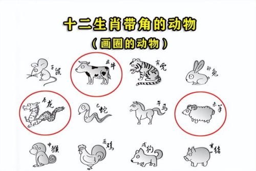 头上生角打一生肖(头上有角不是畜是什么生肖)插图