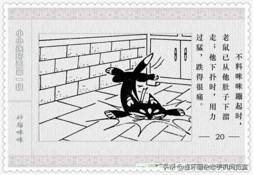 好猫咪咪(好猫咪咪的登录方式)插图21