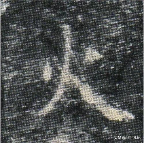 九的笔顺怎么写(笔画大全表)插图4
