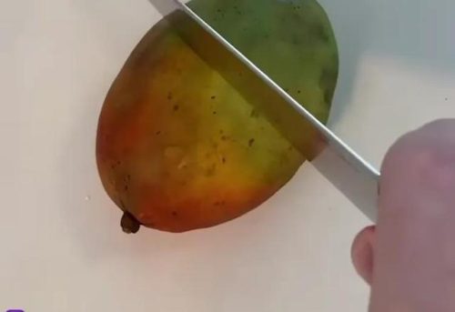 全球仿真蛋糕排名前十(中国最厉害的蛋糕是什么品牌)插图4