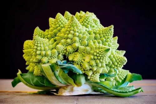 欧洲难吃蔬菜排名前十(十大难吃的蔬菜排行)插图5