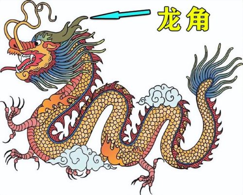 头上生角打一生肖(头上有角不是畜是什么生肖)插图3