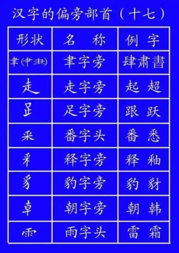 九的笔画笔顺(九的笔顺笔画顺序怎么写)插图39