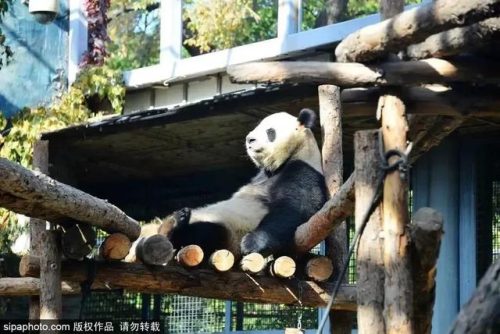 北京低龄乐园排名前十(北京适合老人孩子玩的地方有哪些)插图1