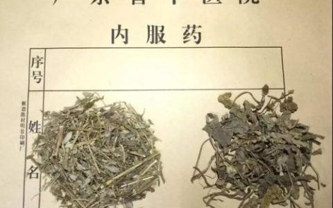 菊花味精(菊花味精哪一年建厂)
