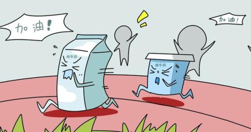 纯牛奶好还是酸奶好(纯牛奶好还是鲜牛奶好)插图