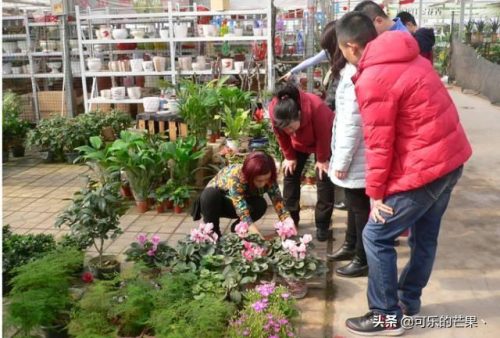 石家庄服装批发市场(石家庄服装批发市场在哪)插图16