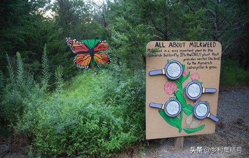 美国玉米农庄排名前十(玉米农庄)插图18