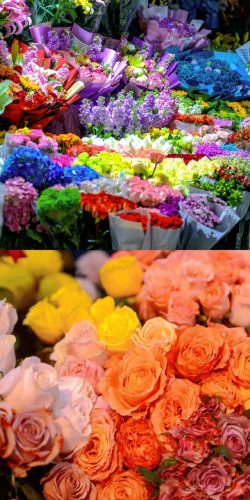 济南推荐花店排名前十(济南花店,济南鲜花速递,送花上门)插图1