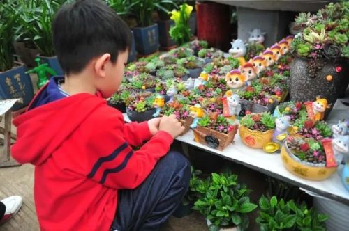 济南推荐花店排名前十(济南花店,济南鲜花速递,送花上门)插图7