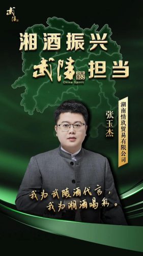 湖南进口酒商排名前十(湖南省名酒白酒排行榜)插图3