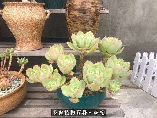 归路百度百科(归路演员表)插图21