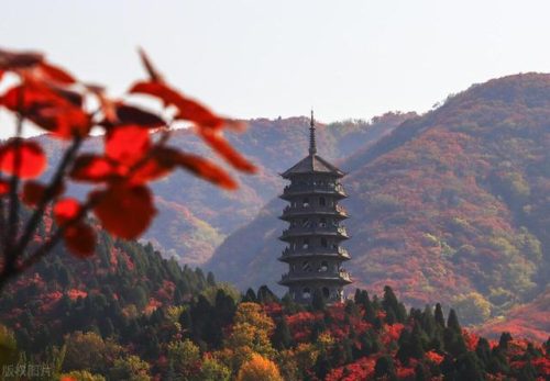 济南各区公园排名前十(济南公园排名)插图31