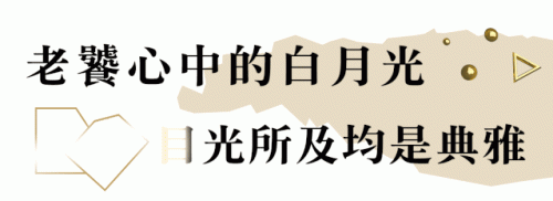 太原粤菜卤水排名前十(正宗粤菜卤水配料)插图38