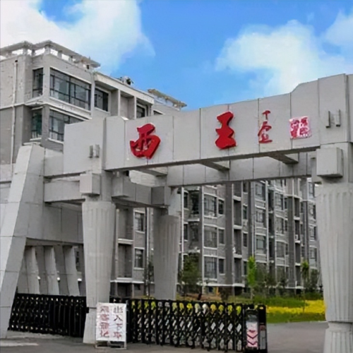 中国十大富村(猎德村土豪村)插图3