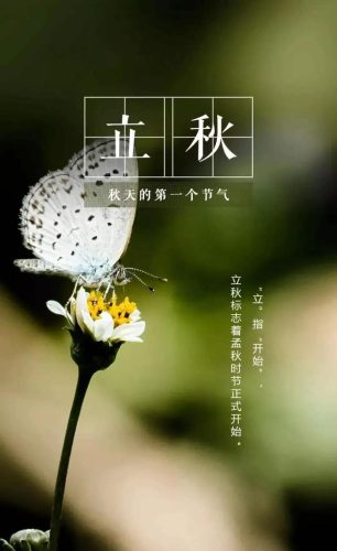立秋图片大全高清(一叶知秋图片)插图45