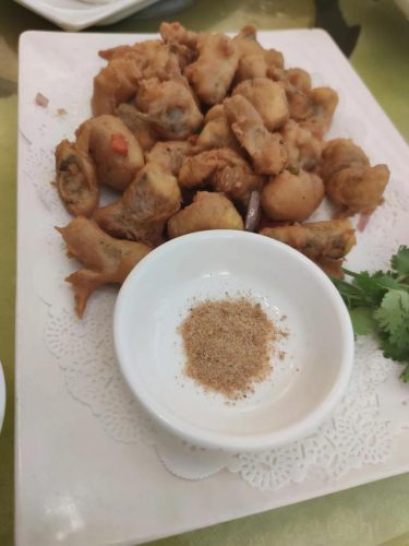 江门新会农庄排名前十(江门环境最好的农庄有哪些)插图5