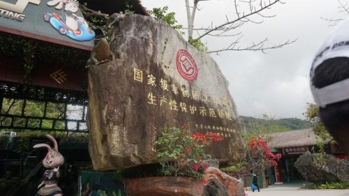 海南热门景点排名前十(海南十大热门景点排名大全)插图8