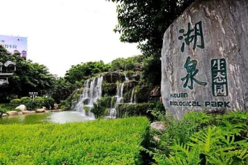 华坪出名餐馆排名前十(华坪美食介绍)插图5