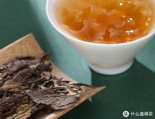 白茶排名前十的茶(哪个牌子的白茶好喝)插图