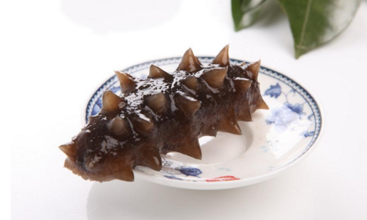海参什么季节的好(海参立秋吃还是立冬吃)插图1
