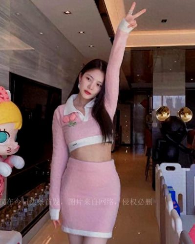 我不是明星(我不是明星林子祥儿子)插图4