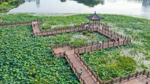 南宁休闲基地排名前十(南宁吃喝玩乐一体的地方)插图8
