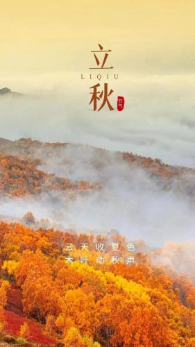 立秋图片大全高清(一叶知秋图片)插图14