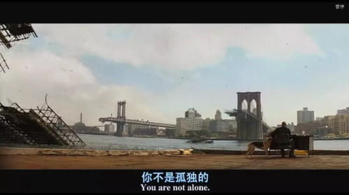 我是传奇加长版(我是传奇原著)插图