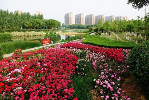 南阳排名前十的公司(河南南阳保洁公司排行榜)插图1