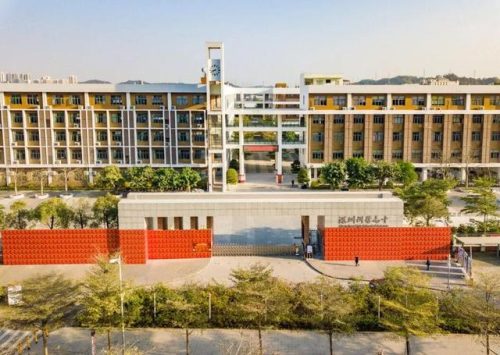 深圳前十的学校排名(深圳文武学校排名)插图10