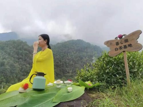 南昌高档茶庄排名前十(南昌餐饮排名前十)插图8