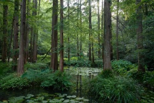 杭州漂流项目排名前十(万泉河漂流有哪些项目)插图