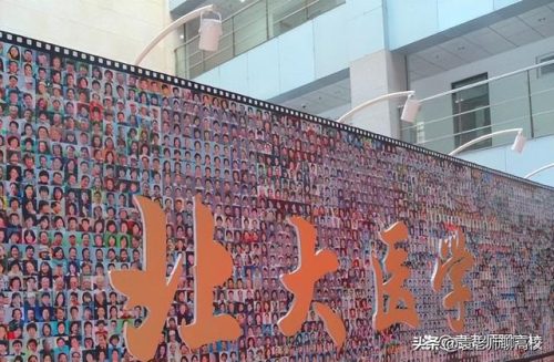 北京大学医学院(北大医学部算不算北大)插图14