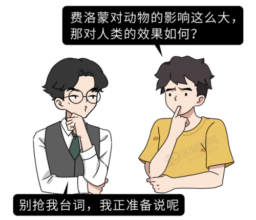 同志催情(rush是什么东西的中文名)插图9