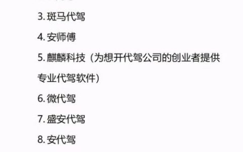 代驾公司(洪师傅代驾公司)