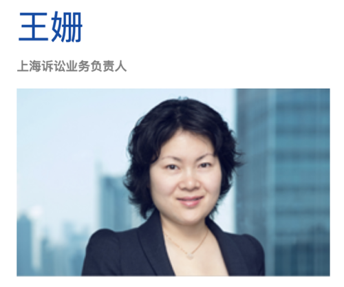 专利律师欧洲排名前十(欧洲外观专利费用多少)插图5