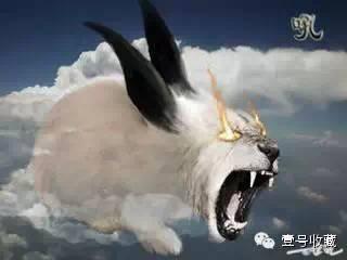 上古 神兽(上古神兽电视连续剧)插图25