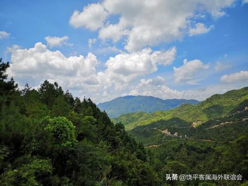 饶平最大茶厂排名前十(饶平妙雪茶厂)插图6