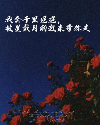 吞海破云2(吞海破云2落霞)插图1