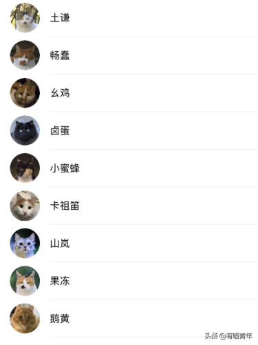 北大虐猫(北京大学学生流浪猫关爱协会)插图16