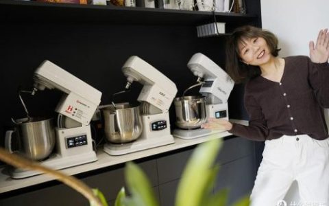 烤箱排名(烤箱什么牌子的最好)