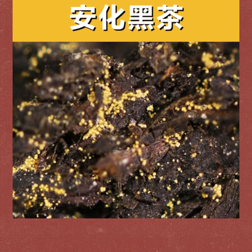 西湖红茶品牌排名前十(中国三大红茶品牌)插图