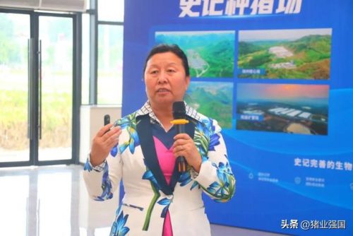 世界屠宰机械排名前十(兖州源顺屠宰机械有限公司)插图7