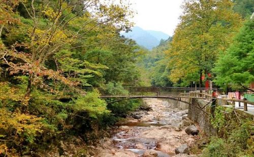 温州旅游景点(温州必去三大景点)插图35